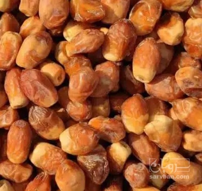 فروش خرما زاهدی