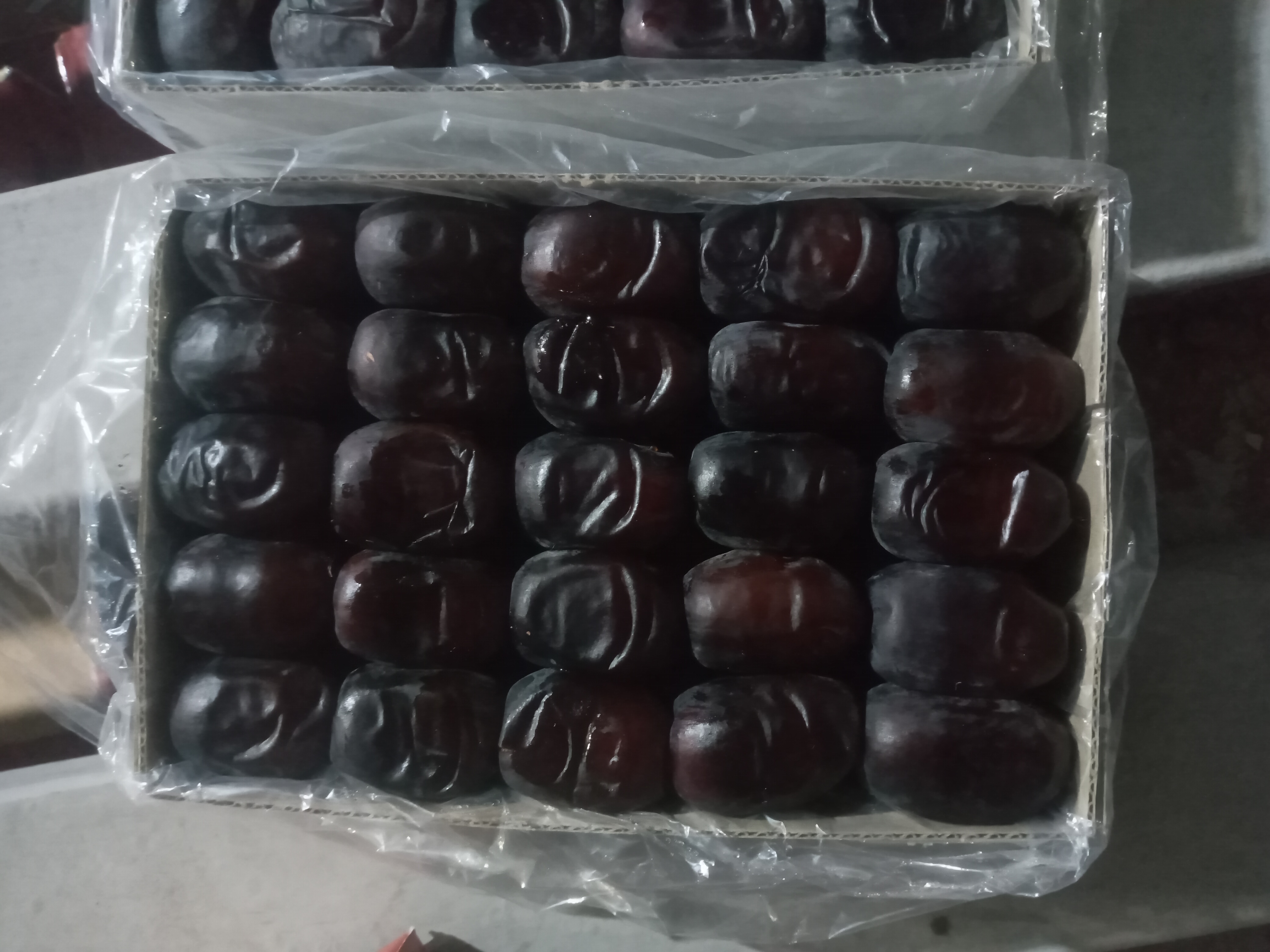 فروش خرما مضافتی