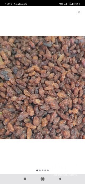 فروش کشمش