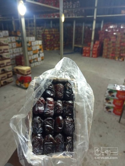 فروش خرما