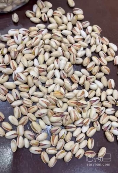 فروش پسته