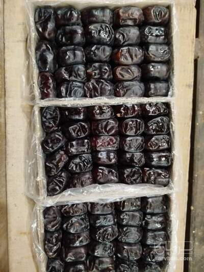 فروش خرما