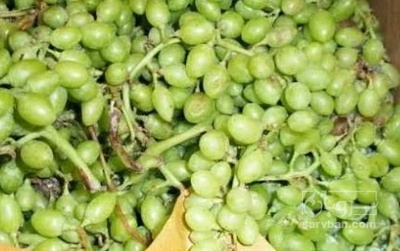 فروش غوره
