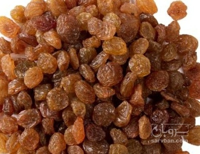 فروش کشمش