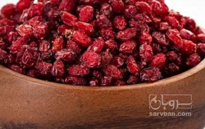 فروش زرشک اناری
