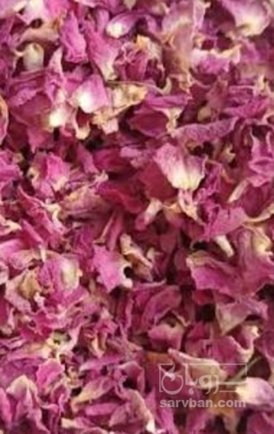 فروش گل محمدی (گیاه‌ دارویی)