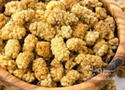 فروش توت خشک