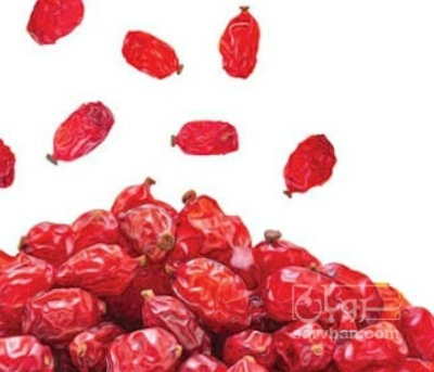 فروش زرشک