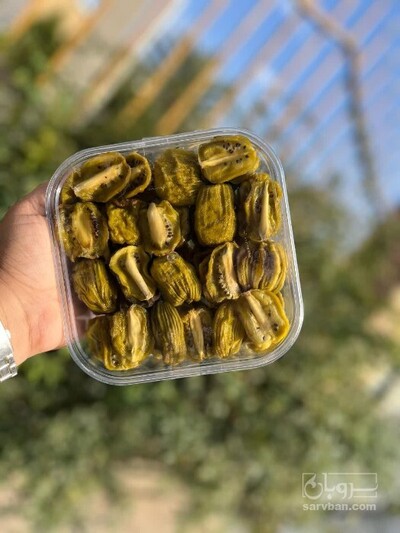 فروش کیوی خشک