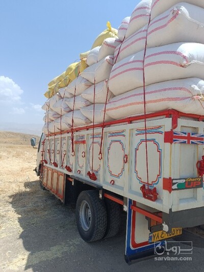 فروش کاه و کلش گندم