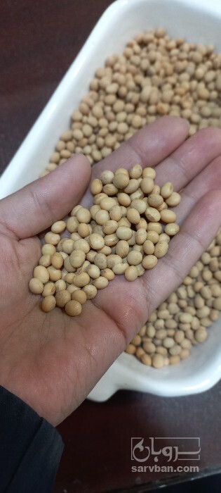 فروش سویا