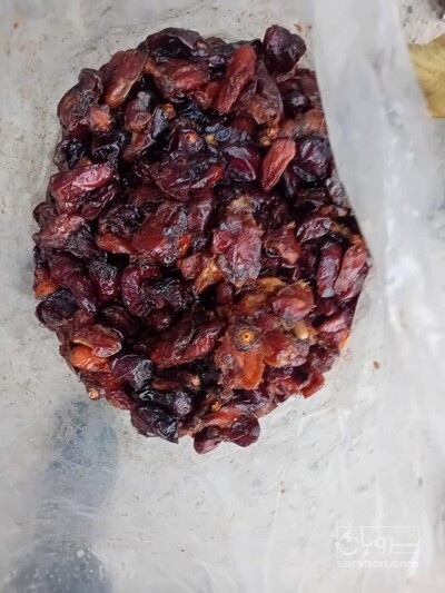 فروش خرما