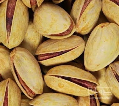 فروش پسته اکبری