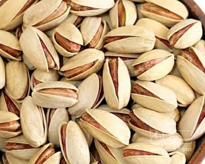 فروش پسته کله قوچی