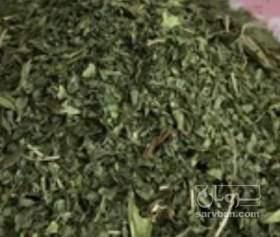 فروش نعناع خشک (گیاه‌ دارویی)