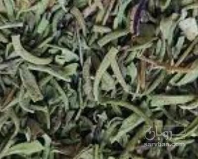 فروش مرزه (گیاه‌ دارویی)