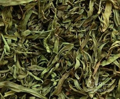 فروش ترخون (گیاه‌ دارویی)