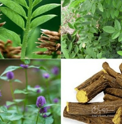 فروش شیرین بیان (گیاه‌ دارویی)