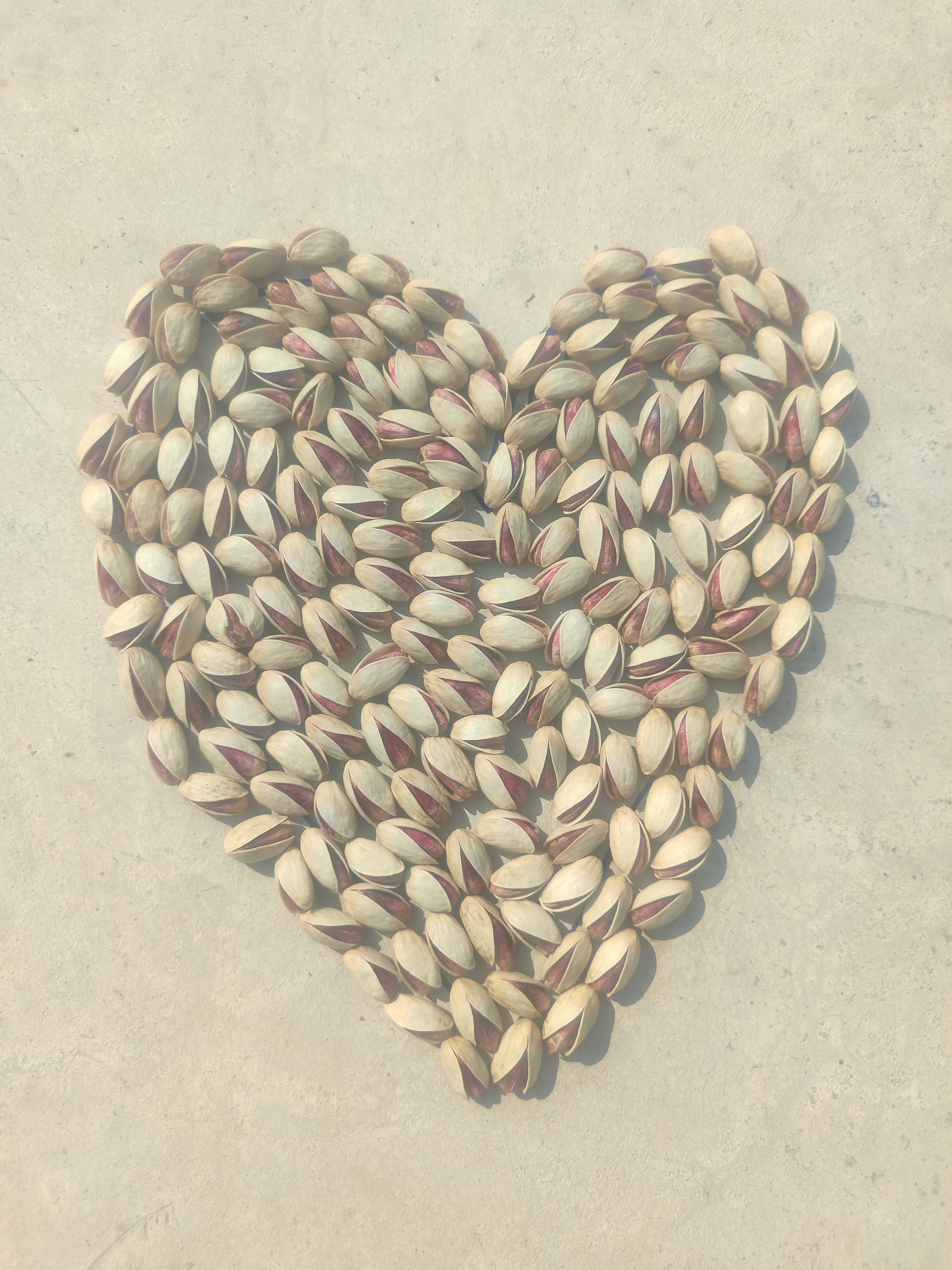 فروش پسته