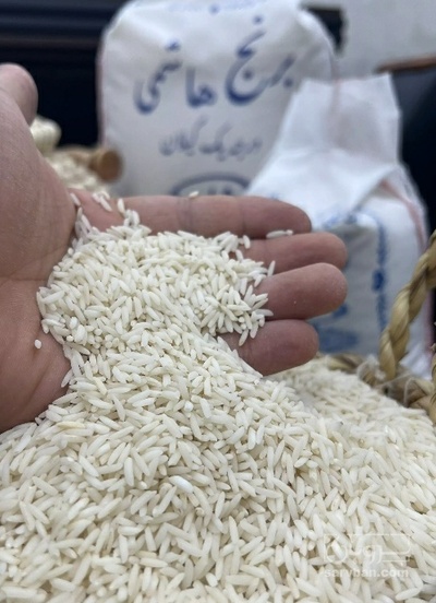 فروش برنج هاشمی