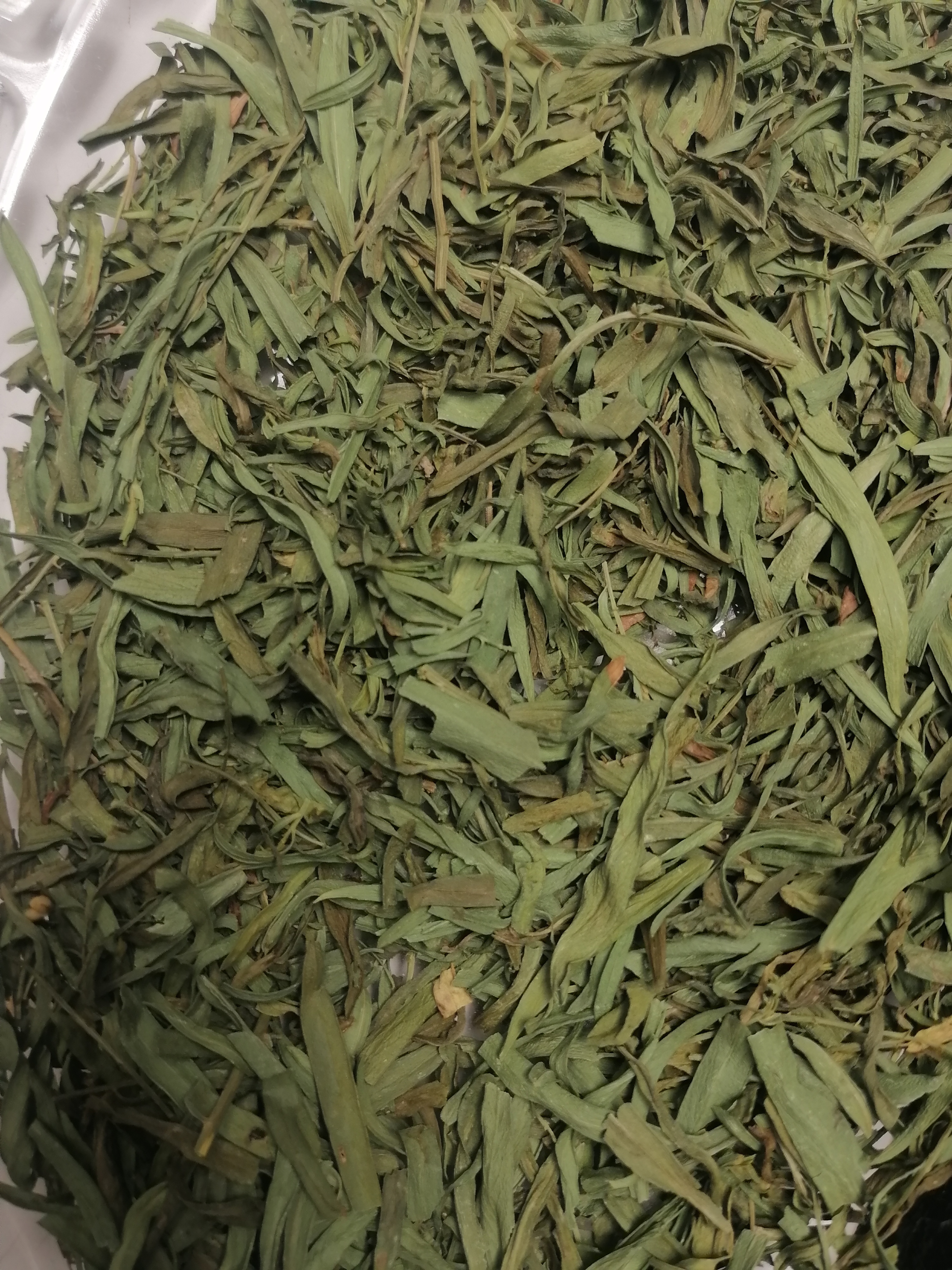 فروش ترخون (گیاه‌ دارویی)