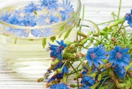 فروش عرق کاسنی