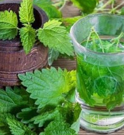 فروش عرق گزنه
