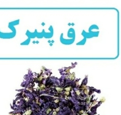 فروش پنیرک