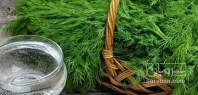 فروش عرق شوید