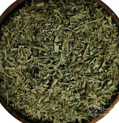 فروش مرزه (گیاه‌ دارویی)