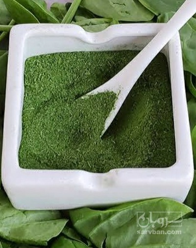 فروش اسفناج خشک
