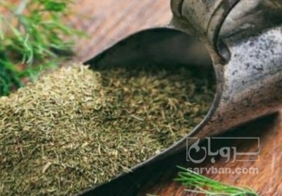 فروش شوید خشک (گیاه‌ دارویی)