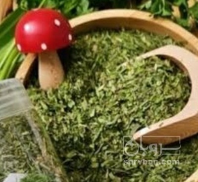 فروش نعناع خشک (گیاه‌ دارویی)
