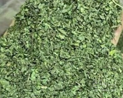 فروش ترخون (گیاه‌ دارویی)