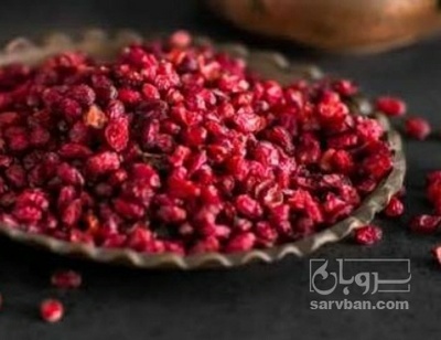 فروش زرشک