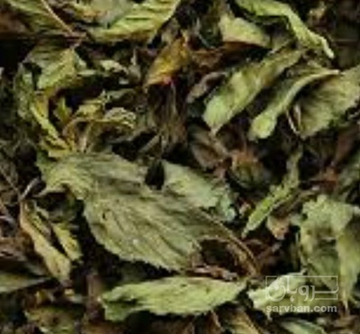 فروش نعناع خشک (گیاه‌ دارویی)