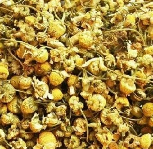 فروش بابونه (گیاه‌ دارویی)