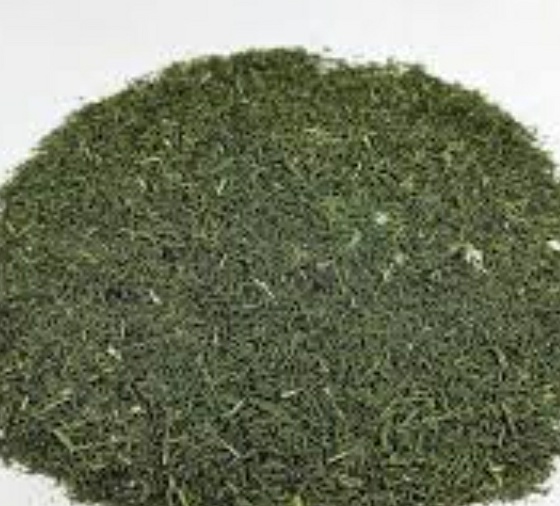 فروش شوید خشک (گیاه‌ دارویی)