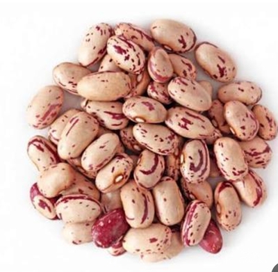 فروش لوبیا چیتی