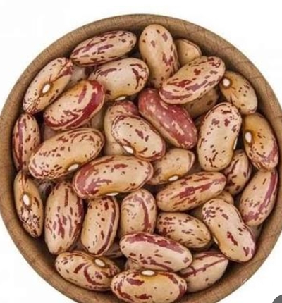 فروش لوبیا چیتی