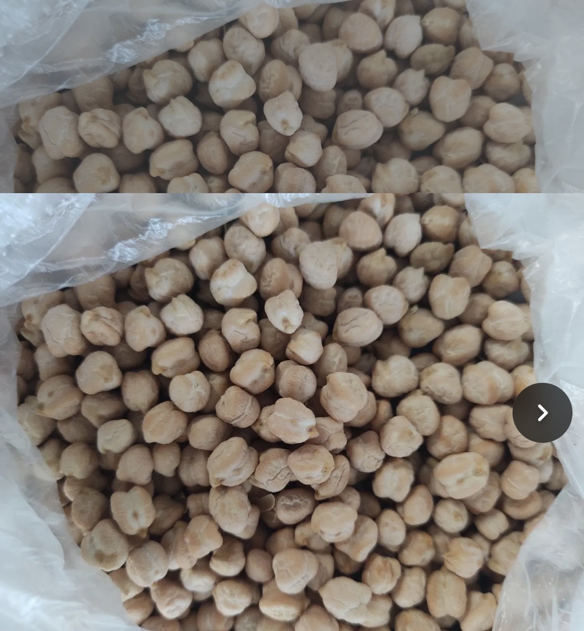 فروش نخود