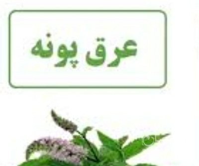 فروش عرق پونه
