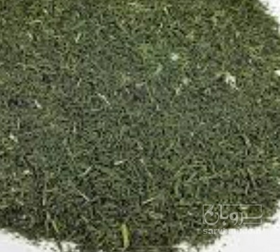 فروش شوید خشک (گیاه‌ دارویی)