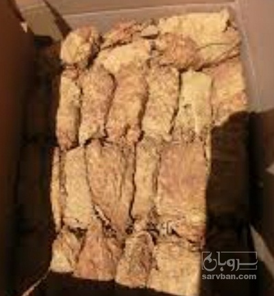 فروش تنباکو تند