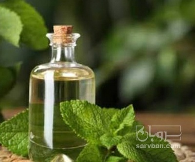 فروش عرق نعناع