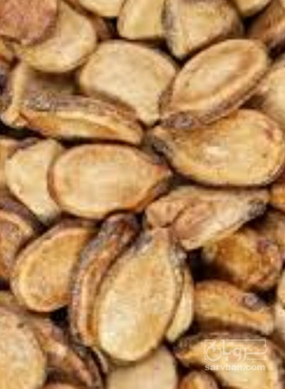 فروش تخمه هندوانه