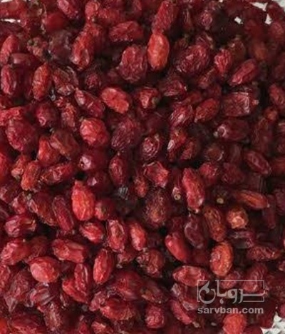 فروش زرشک