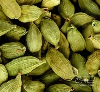 فروش هل (گیاه‌ دارویی)