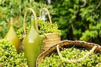 فروش آبغوره