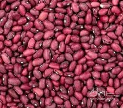 فروش لوبیا قرمز
